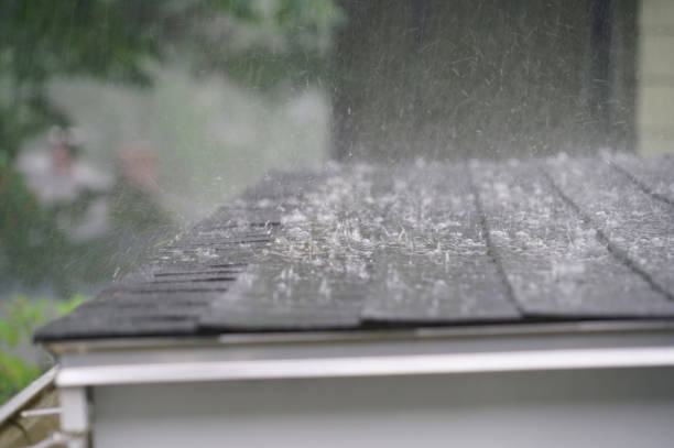 Best Metal Roofing Installation  in Bellingham, WA