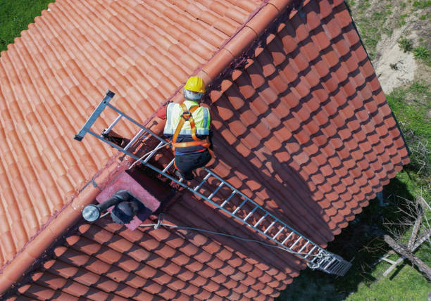 Best Cold Roofs  in Bellingham, WA