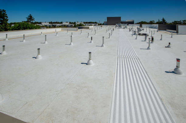 Best Roof Waterproofing  in Bellingham, WA